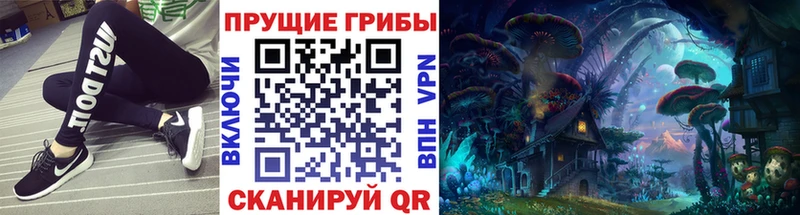 shop официальный сайт  купить   Симферополь  Псилоцибиновые грибы мухоморы 